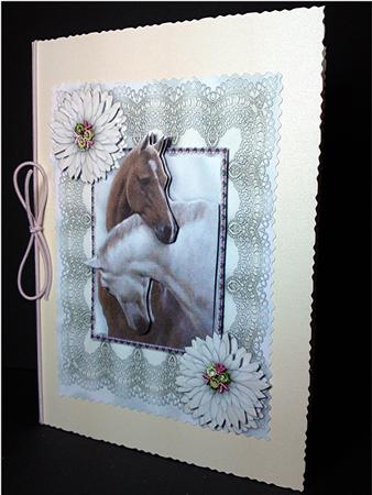 Beautiful Horses Heads Entwined in Lace Frame A4 by Cynthia Massey