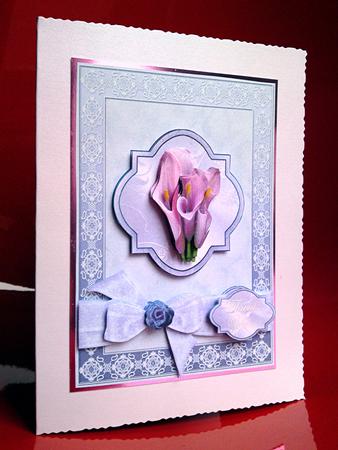 Beautiful Calla's by Cynthia Massey