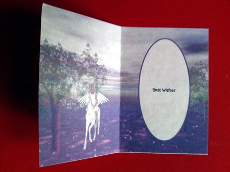 Riding My Unicorn Best Wishes Insert by Cynthia Massey