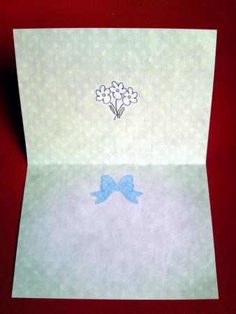Pretty Soft Dots Insert A5 Landscape by Cynthia Massey