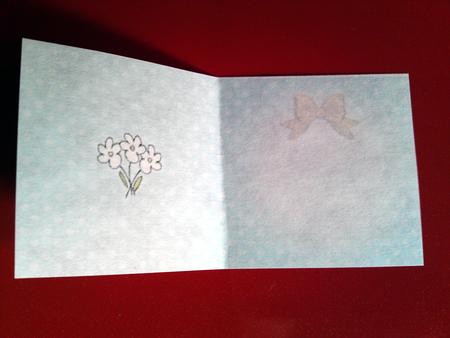 Pretty Soft Dots Square Portrait Insert by Cynthia Massey