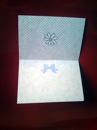 Pretty Dots A5 Landscape Insert by Cynthia Massey