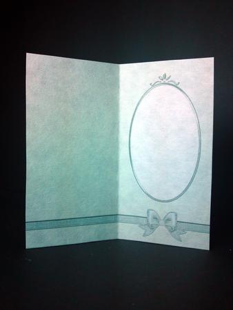 'metallic' Dl Fancy Bow Card Fronts or Insert by Cynthia Massey