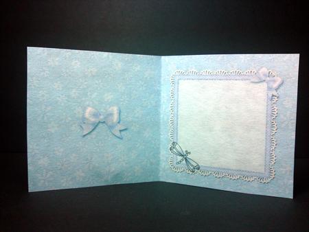 Dreamy Dragonflies - square insert by Cynthia Massey