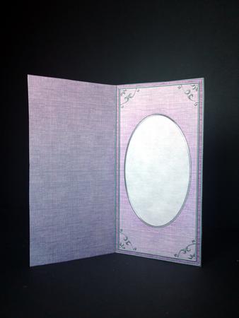 Dl 'silver Metallic Frame' Card Front or Insert by Cynthia Massey