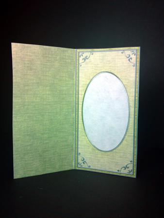 Dl 'silver Metallic Frame' Card Front or Insert by Cynthia Massey