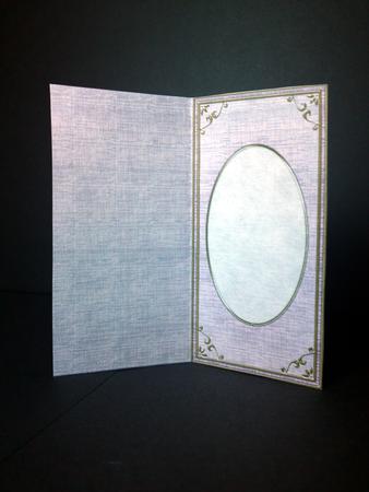 Dl 'gold Metallic Frame' Card Front or Insert by Cynthia Massey