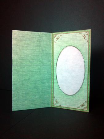 Dl 'gold Metallic Frame' Card Front or Insert by Cynthia Massey