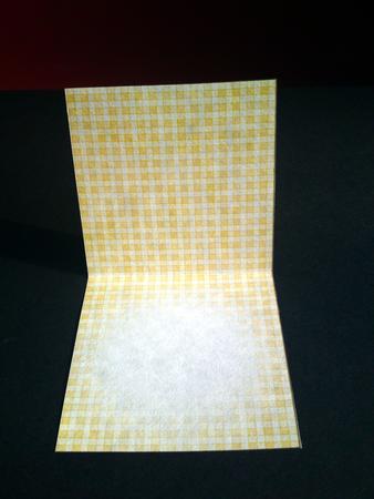 Men's Gingham Square Portrait or Landscape Insert by Cynthia Massey