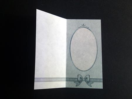 'metallic' Dl Fancy Bow Card Fronts or Insert by Cynthia Massey