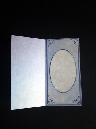 Dl 'metallic Frame Embossed' Card Front or Insert by Cynthia Massey