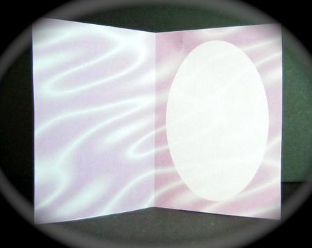 Sumptuous Satin A5 Insert - Pale Fuchsia by Cynthia Massey