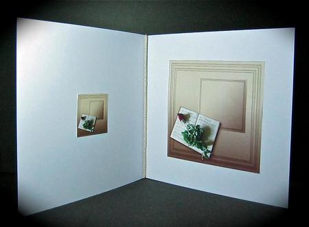 Single Red Rose and Music - 8in x 8in Insert Plate by Cynthia Massey