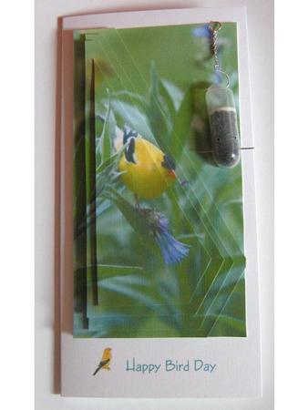 Goldfinch Bird Quick Card by Cynthia Massey