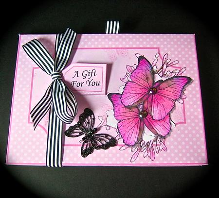 3D Butterflies Dvd or Console Game Gift Box Mini Kit by Cynthia Massey