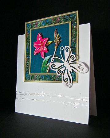 Spectacular Amaryllis by Cynthia Massey