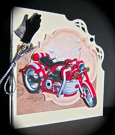 On Your Bike by Cynthia Massey