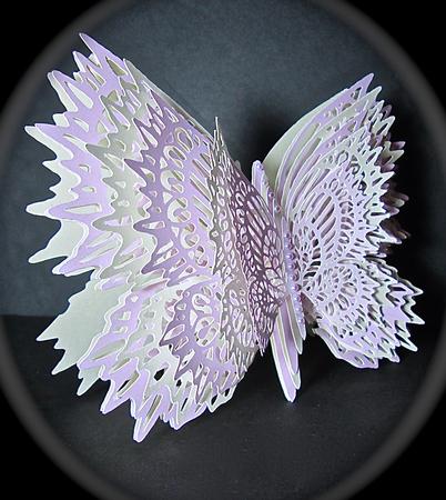 Layered Butterfly Card by Cynthia Massey