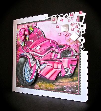 Biker Girl by Cynthia Massey