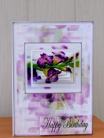 Gladioli by Cynthia Berridge