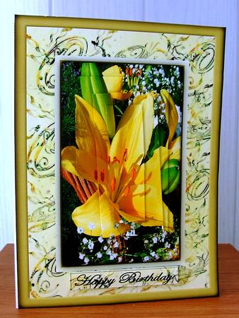 Yellow Lily in the Sunlight by Cynthia Berridge