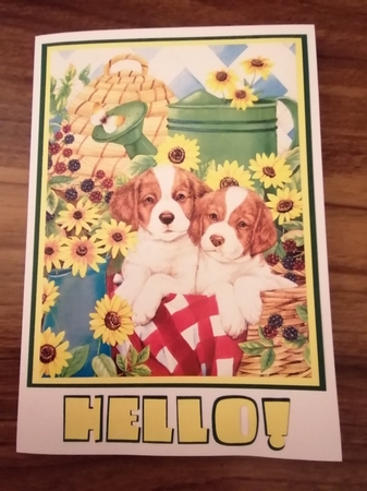2021 Calendar Sunflower Pups by D A Boscoe