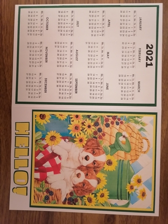 2021 Calendar Sunflower Pups by D A Boscoe