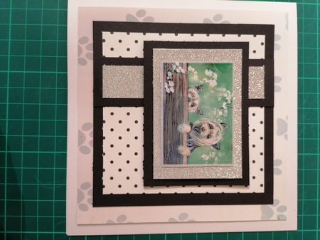 Two Paw Print Blended Backgrounds by D A Boscoe