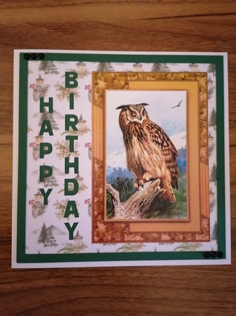 Wise owl wildlife nature outdoors scenic sportsman birthday card for men grandfather all occasion birthday male by D A Boscoe