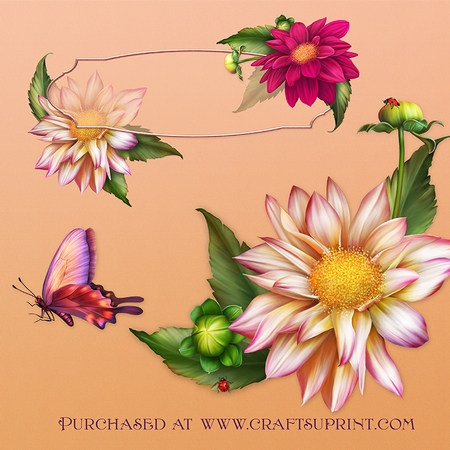 Dahlia Nouveau I by Dana Sitarzewski