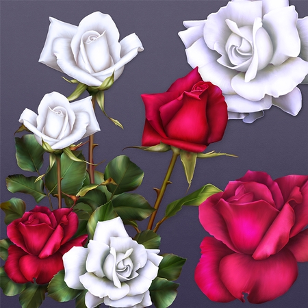 War of Roses by Dana Sitarzewski