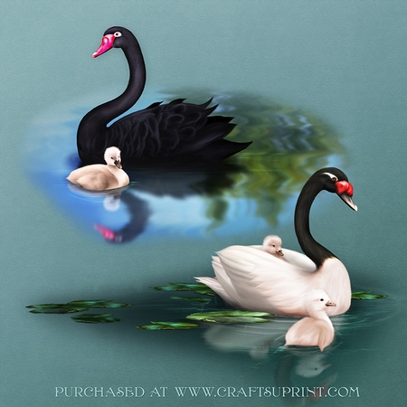 SwanSong by Dana Sitarzewski