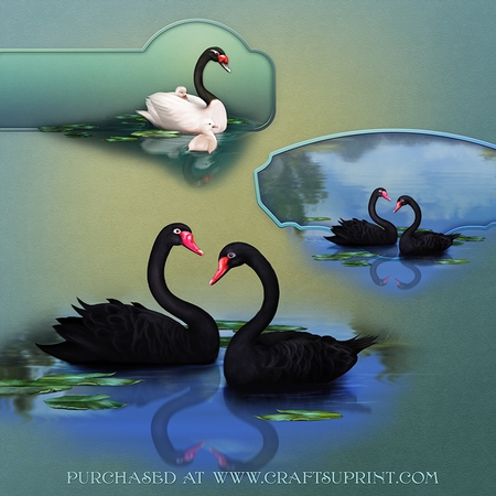 SwanSong by Dana Sitarzewski