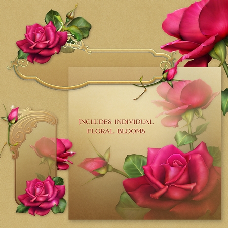 Celebration Roses by Dana Sitarzewski