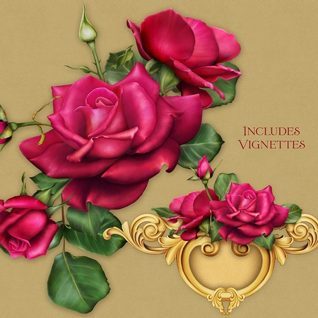 Celebration Roses by Dana Sitarzewski