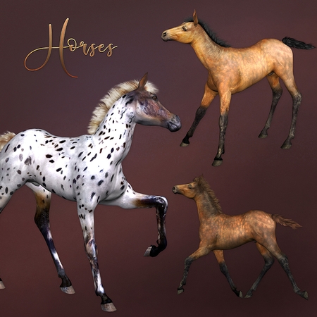 Horses by Dana Sitarzewski