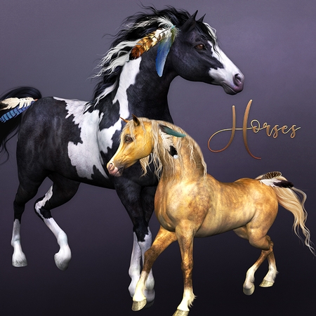 Horses by Dana Sitarzewski
