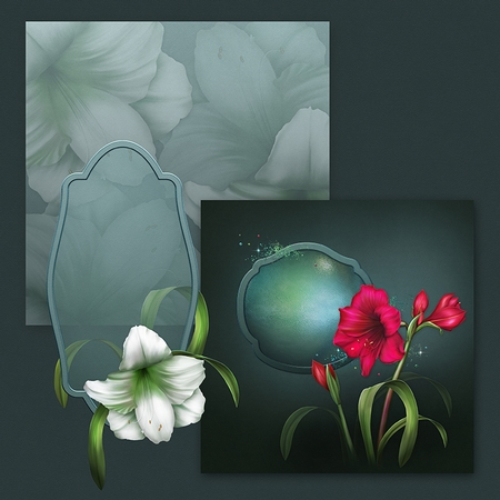 Holiday Amaryllis by Dana Sitarzewski