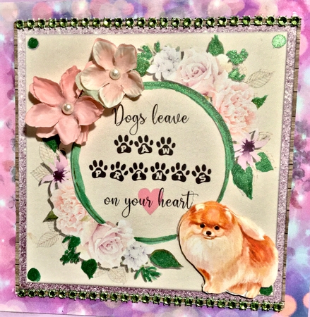 POMERANIAN 6X6 by Darlene Handorff