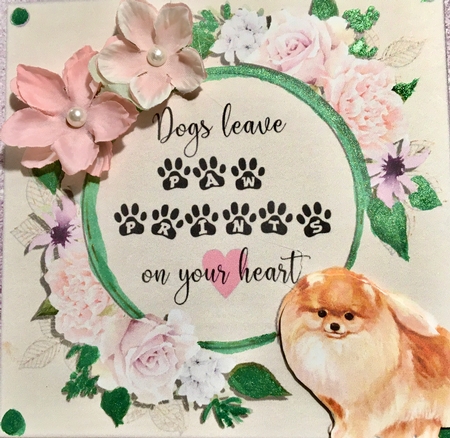 POMERANIAN 6X6 by Darlene Handorff