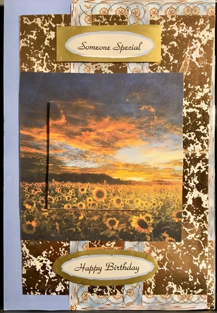 Sunflower View by Darlene Handorff