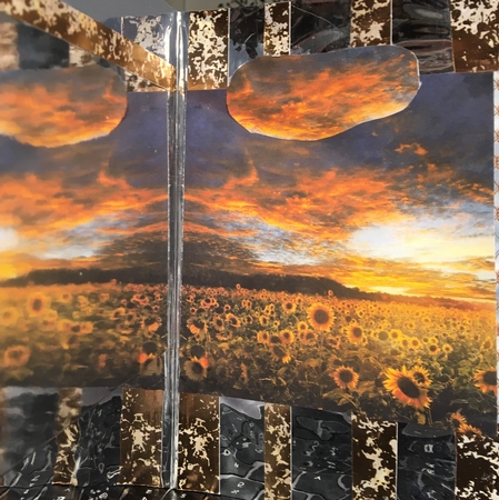 Sunflower View by Darlene Handorff