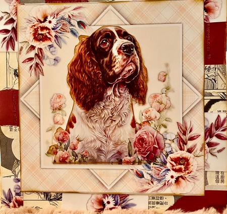8x8 Mini Kit, Beautiful Springer Spaniel by Darlene Handorff