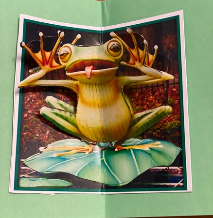 Funny Frog Quadro Petal Corner Stacker 2 by Darlene Handorff