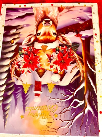 Christmas Cottage A4 by Darlene Handorff