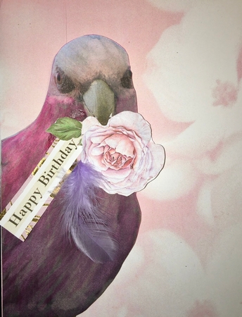 Pink Galah by Darlene Handorff