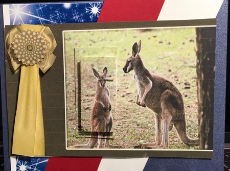The Australian Kangaroo Happy Birthday Thank You Greetings F by Darlene Handorff