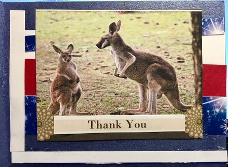 The Australian Kangaroo Happy Birthday Thank You Greetings F by Darlene Handorff