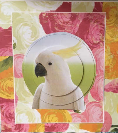 White Cockatoo Circle Pyramid by Darlene Handorff