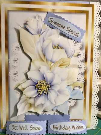 Lovely Blue and Cream Hellebore  by Darlene Handorff